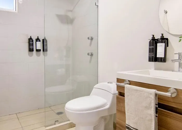 Apartment Huge 4br With 2 Big Terraces Mexico City